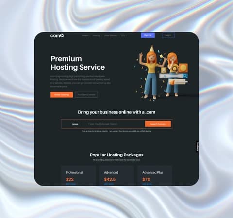 Domain Hosting Service project - Infinoz